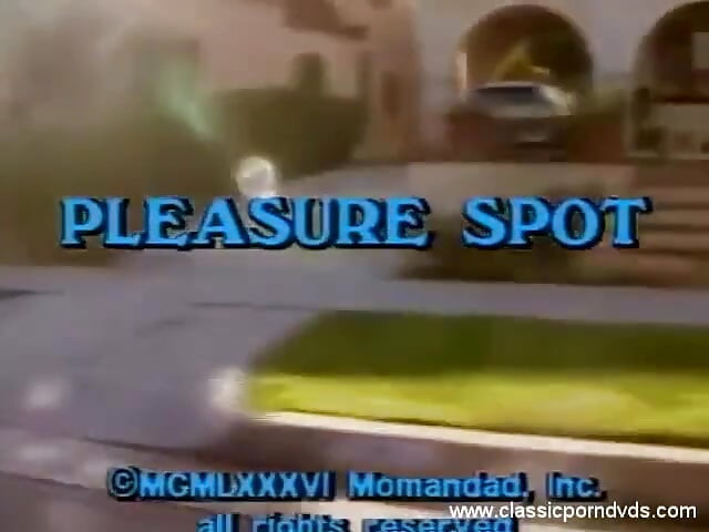 ดีวีดีหนังโป๊คลาสสิก: จุดแห่งความสุข: ตอน 1