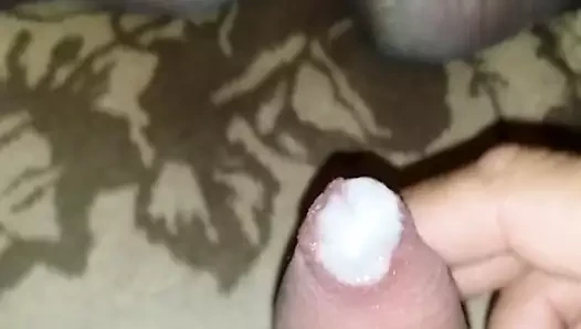 penis