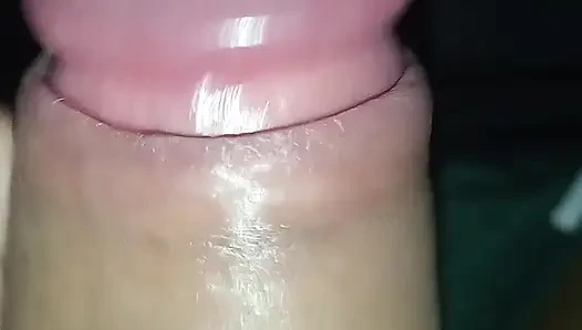 Malay Sweetness Lancap Batang