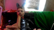 Pregled videozapisa