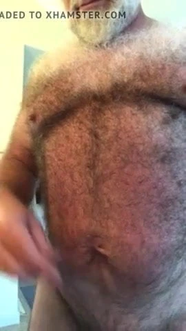 Bearded HIRSUTE Senior Silverbear Combs His Thick Gray Fur