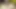Indian husband and wife face videos
