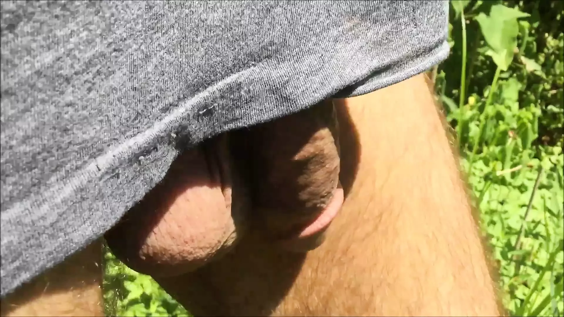 Dick in the woods