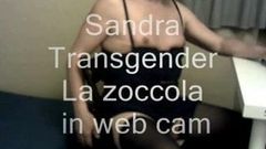 Tgender en webcam