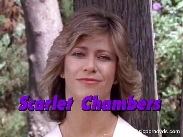 Klassiske porno-DVD-er: Marilyn Chambers' Private Fant