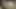 friends masturbated sucked in the bedroom