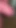 penis | Klip 1