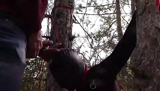 Outdoor sex in the wood. Wearing sexy clothes and high heels, bound, throated and fucked