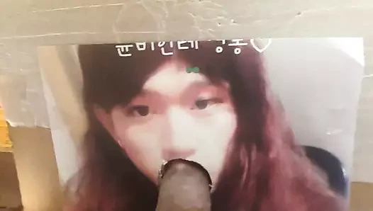 sinbi cd haraç