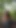 Stunning moment from "EVERYONE LOOK! EDUCATIONAL BEAUTIFUL VIDEO I TRIED and we were caught in the forest!)"