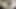 MY SLUTTY PERFECT GIRLFRIEND RIDING A CUCUMBER DILDO& CUM-ARABIAN SNOWWHITE-LOS ANGELES AMATEUR-UNITED STATES OF AMERICA