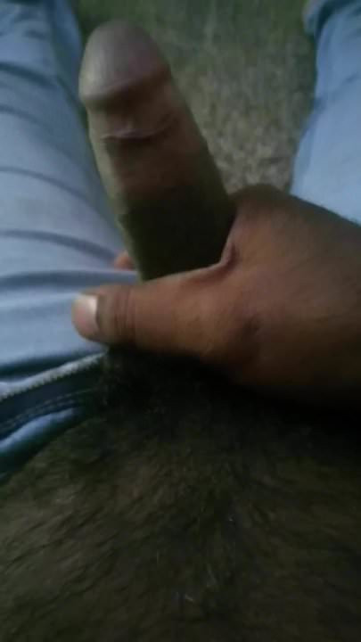 Indian cock