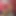 Dövmeli kas sikiciler - bölüm 1