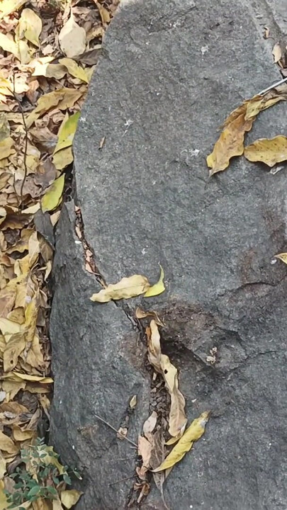 Tamil boy masterbathing forest in waiting for women flashing sex | Clip 1