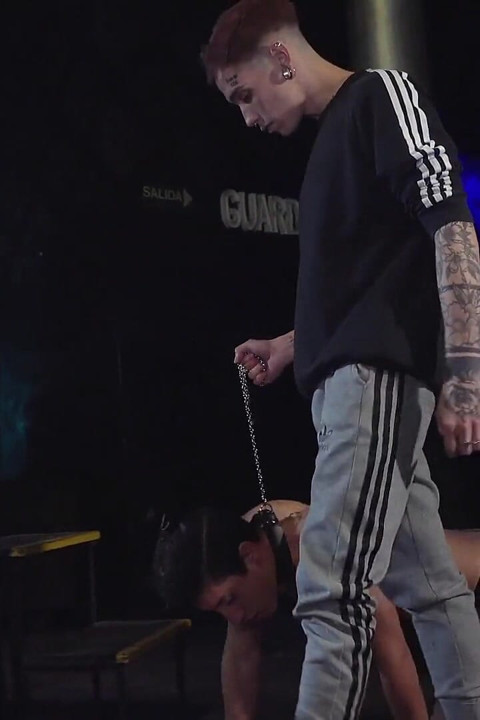 Feeding the Pup Fresh Cock Cream