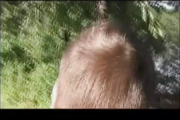 Bareback Surprise on the Meadow