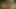 Two horny chicks fucking with a stranger in the nature