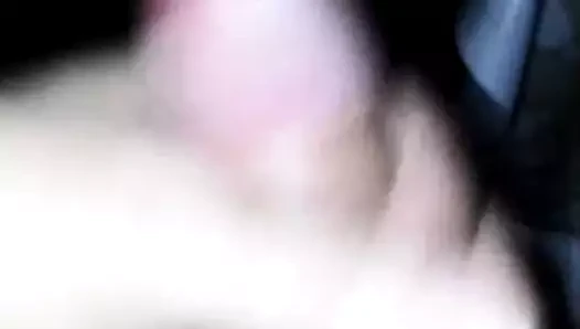 Poranne walenie konia