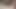 beatiful wife