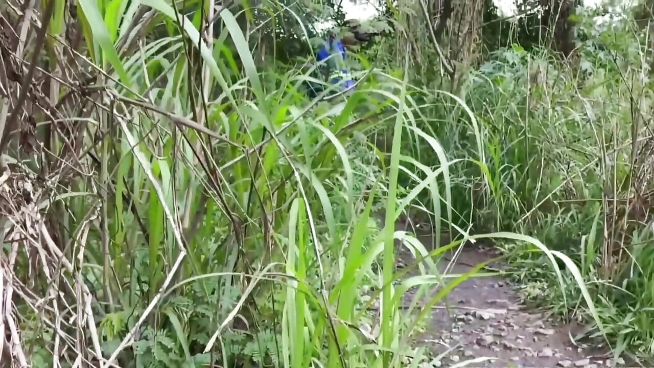 作業員が公園の前を通り過ぎて、