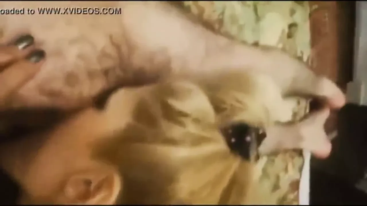 Xhamster
