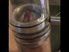 Pregled videozapisa