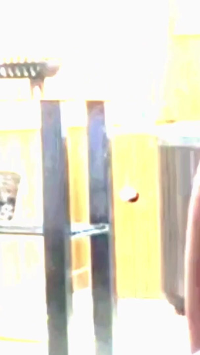 Must-share moment from "Freeball & Flash Compilation"