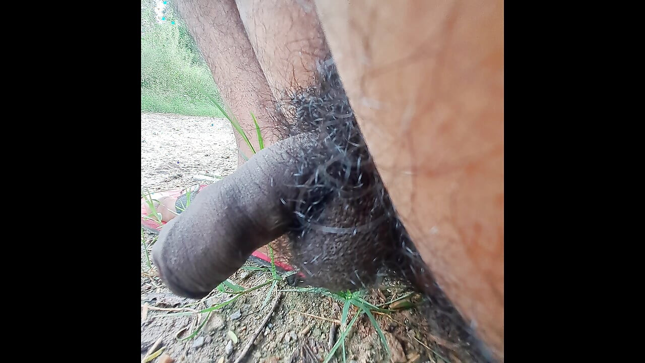 युवा लड़का देसी तंग चूत चोदना चाहता था।