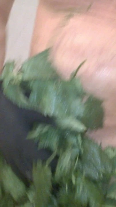 Nettles Fun II