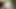 Wedding Muslim Arabic girl wearing Hijab on cam recorded show 11.28