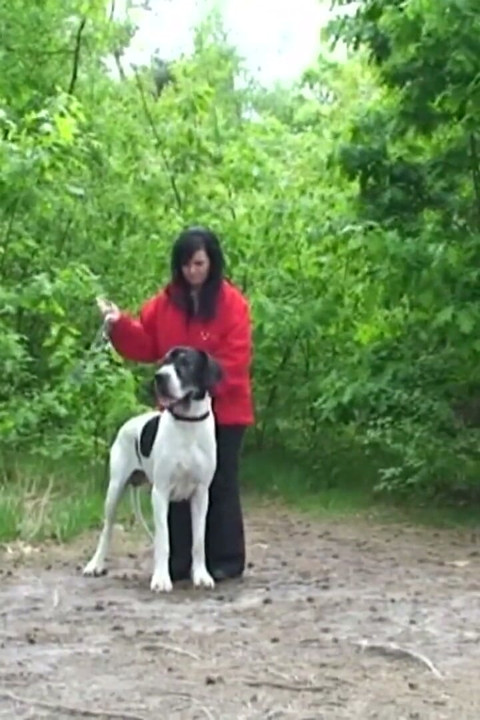 Chubby and horny brunette was walking her pet when she met a stranger to fuck her