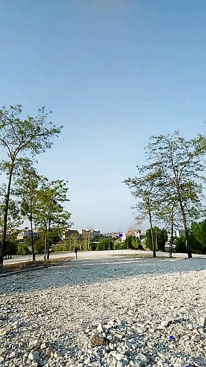 Bogel di taman pada waktu siang