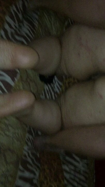 my wife assfucked by a bull with a big cock.