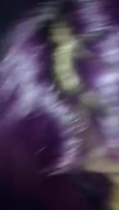 Ramona The Head Master.mp4
