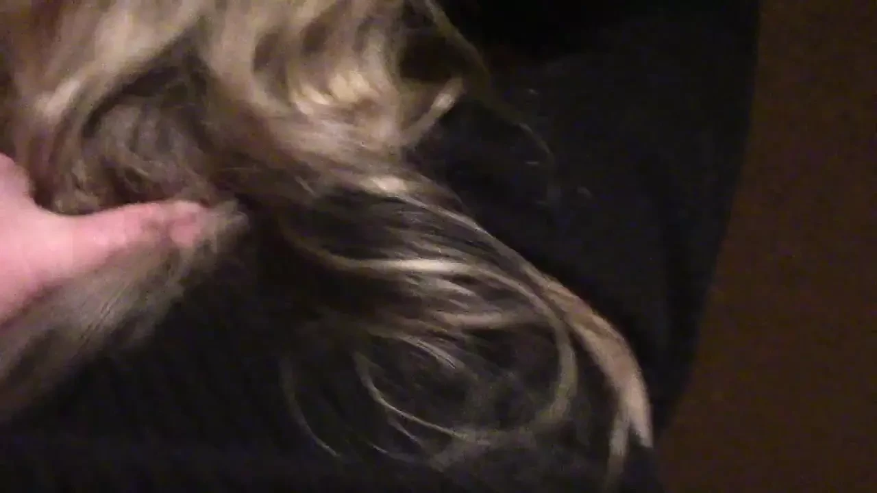public fucking