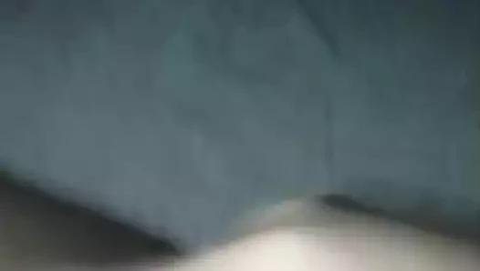 Zevk