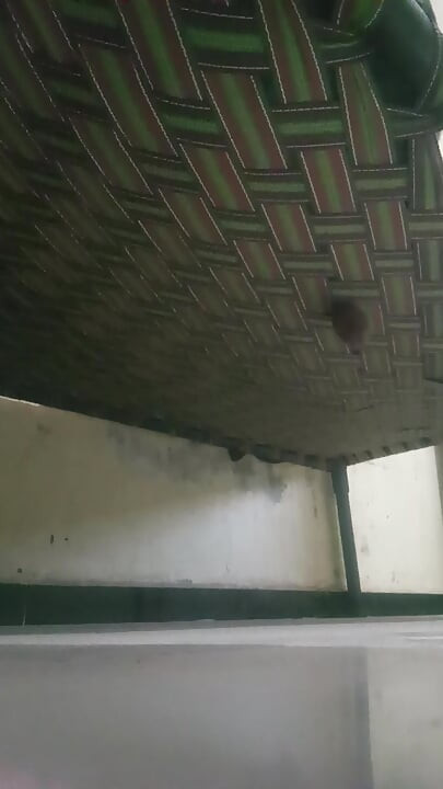 アージ・バービー・キ・チュット・ディカイ・デクネ・ケ・バード・サマイ・ムティ・マリ