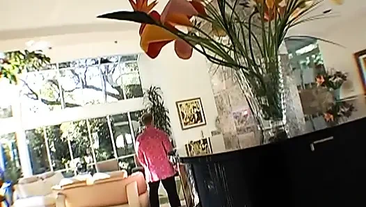 Lexinghton Steele Presents: Black Reign - Vol #06