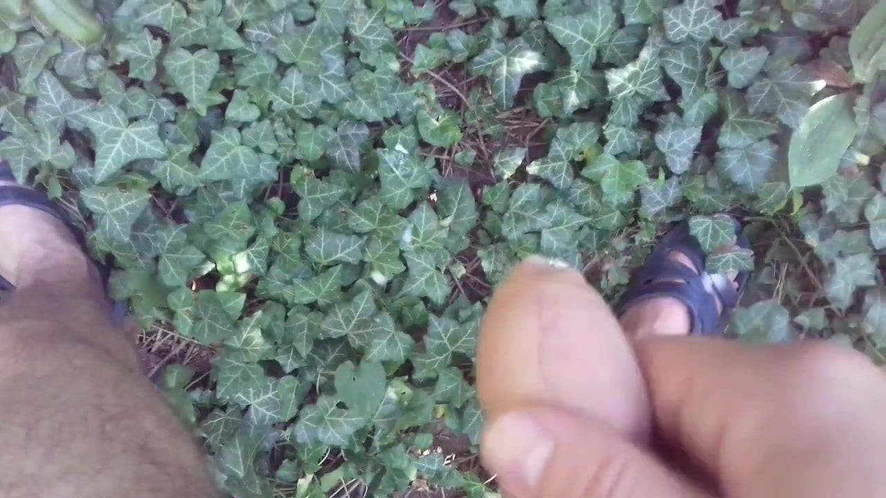 Cumshot in forest