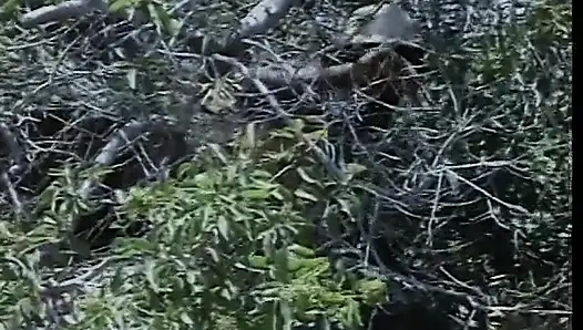 Pantat jalang panas disetubuhi di jalur pendakian