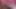 Şanslı adam grup sekste sarışın orta yaşlı seksi kadınlar Carolyn Reese ve Lichelle Marie ile sikişiyor