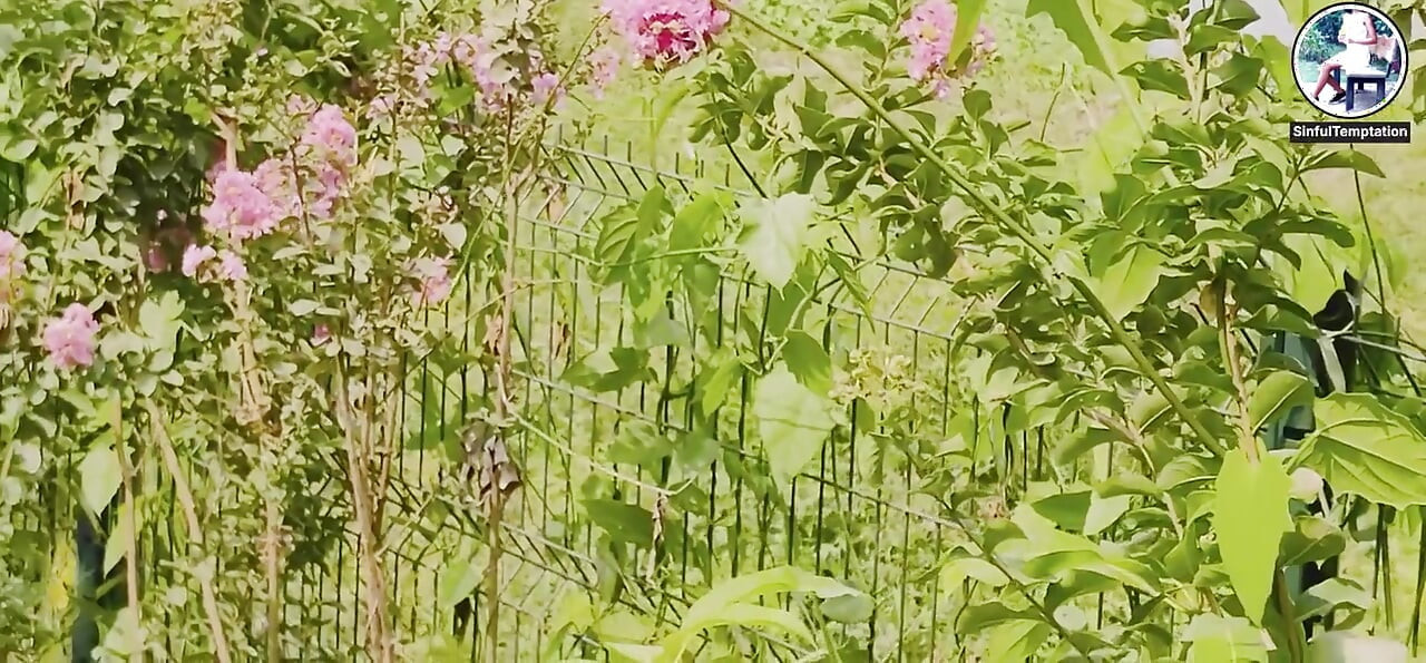 Outdoor Public Park Dildo Blowjob