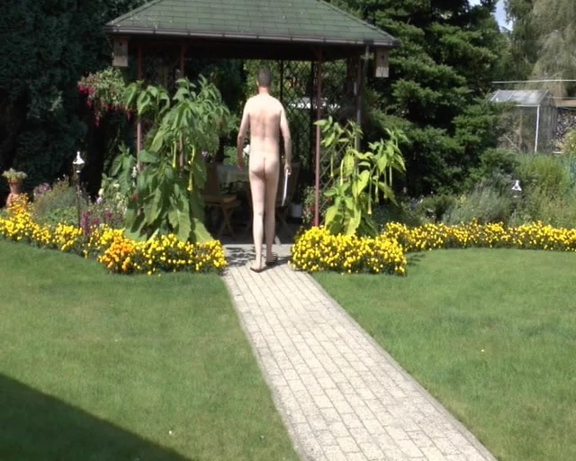 Backyard #1