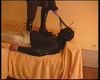 Previzualizare clip video