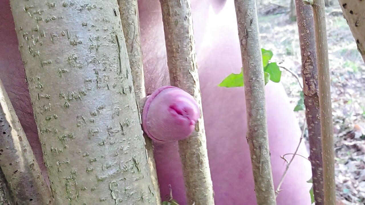 Horny alone in the forest, a hazel bush gets popped