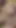 Super fette Frau gefickt aus Berlin SEXTREFFEN | Clip 1