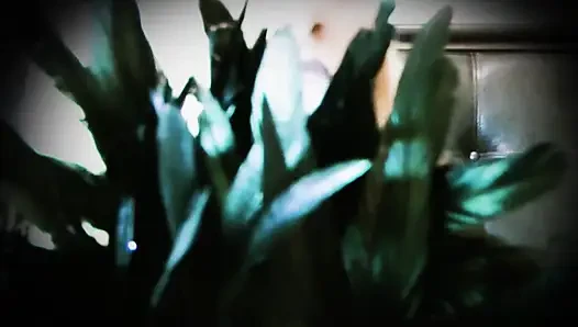 Мозги промытые под моими эффектами