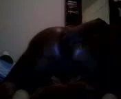 my ass show