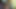 Cumshots - 2015