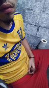 Pregled videozapisa